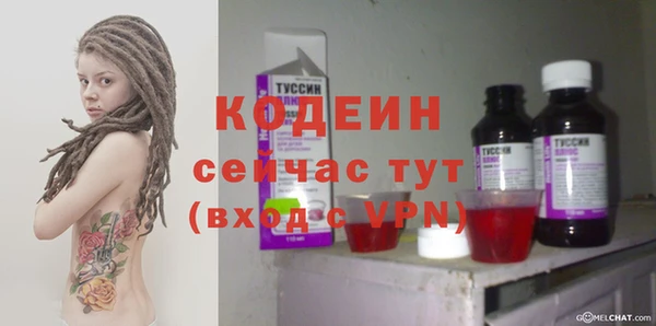 молекула духа Кулебаки