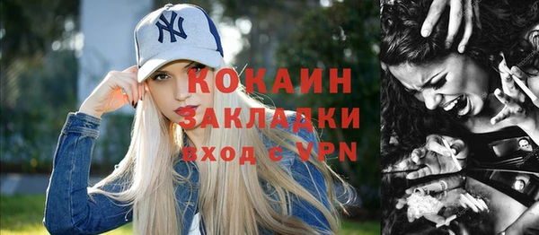 молекула духа Кулебаки