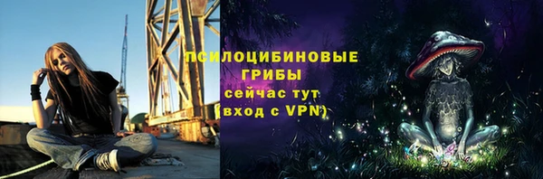 молекула духа Кулебаки