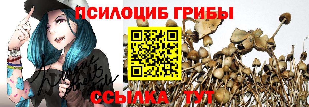 Псилоцибиновые грибы Cubensis Шали