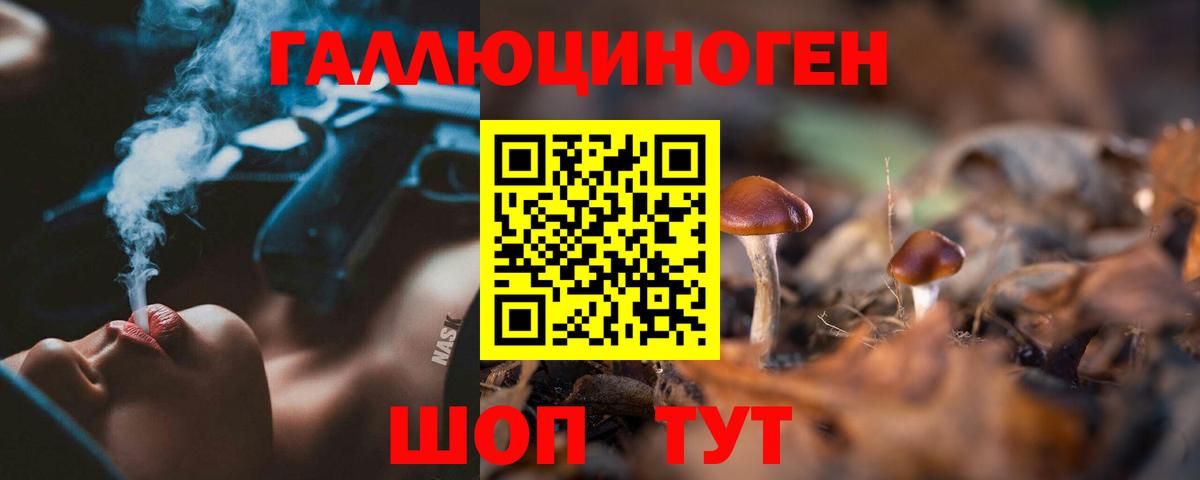 Галлюциногенные грибы мицелий  Вход с VPN  Шали 